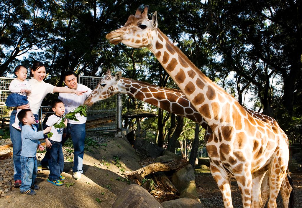 Unique hotel Leofoo Resort Guanshi1, Taiwan